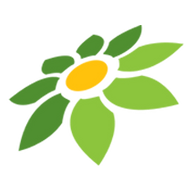 VECTOR INSTAGRAM